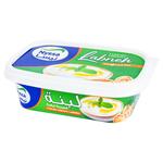 Nyssa Creamy Labneh 370G Tub