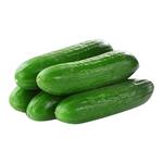 Fresh Cucumber