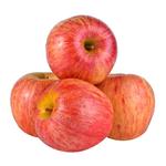 Gala Apple