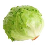 خس آيسبرغ محلي طازج