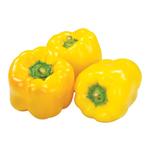 Fresh Yellow Pepper