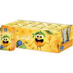 Nadec Mango Juice 18×125ml