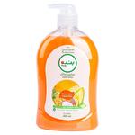 Panda Handwash Tropical Fruits 500ml