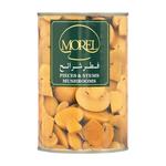 Morel Pieces & Stems Mushrooms 425g