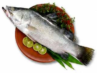 قاروص محلي