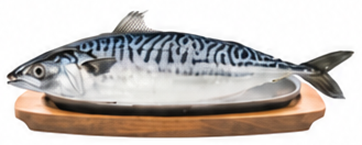 Mackerel Russian 1 kg