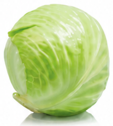 Round Cabbage