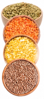 Lentil Assorted