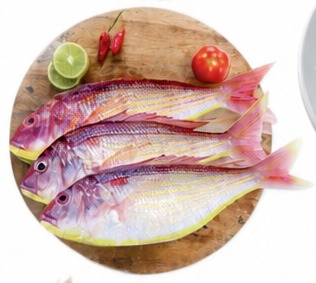 Small Sultan Ibrahim Fish