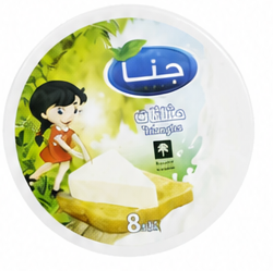 Jana Triangle Cheese 8 Portions 100g