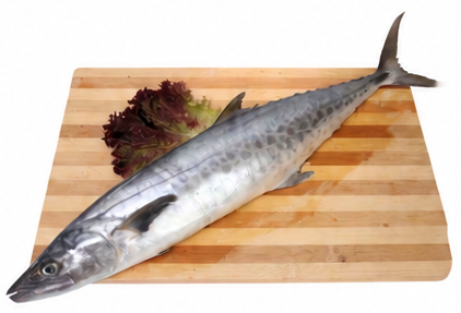 King Fish Small Fresh