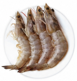Prawns Large Sea