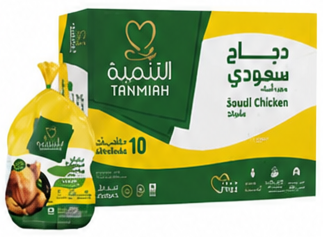 التنمية دجاج مجمد 10 × 1100 جرام