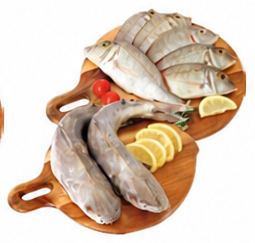 سمك شعري صغير أو كات فيش طازج