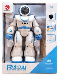 RC Robot