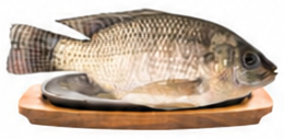 Bulti 1KG