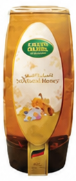Green Farms Natural Honey 300g
