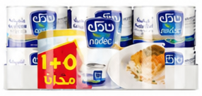 Nadec Cream Spread Cheese 500g