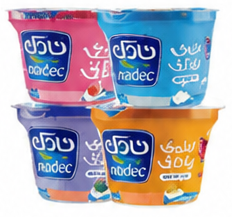 Nadec Greek Yogurt 160g