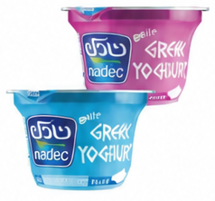 Nadec Greek Yoghurt Assorted Items 160 Grams