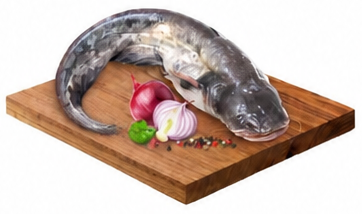 Cat Fish