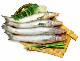 Local Lady Fish