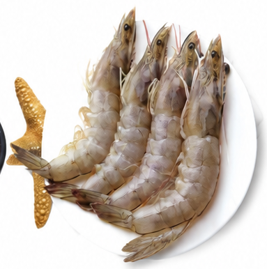 Fresh Prawns Sea Large