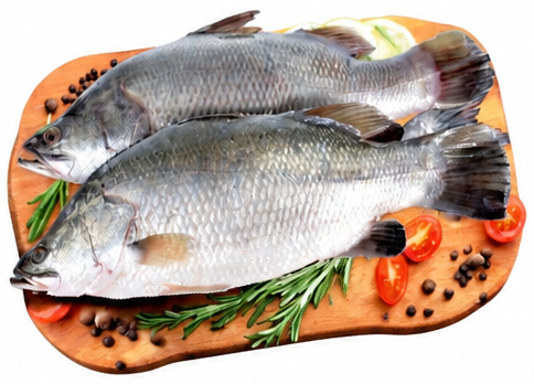 Baramundi Fish Per kg