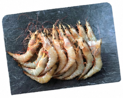 Small Fresh Sea Prawns