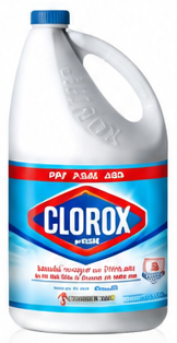 Clorox Bleach Regular 1 gallon