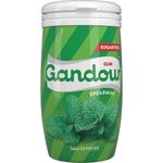 Gandour Spearmint Gum Suger Free 70.4g