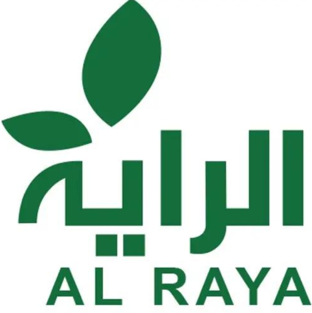 الراية